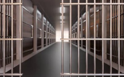 NULLITE DES PROCES-VERBAUX DE DEFERREMENT – REMISE EN LIBERTE